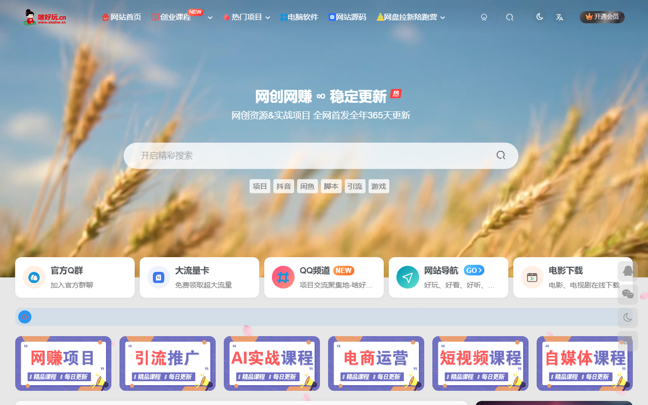 啥好玩副业网